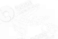 logo light